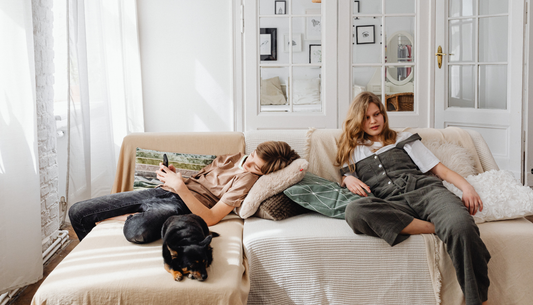 How Do You Protect Your Sofa from Pets Without Ruining Your Living Room Aesthetics?